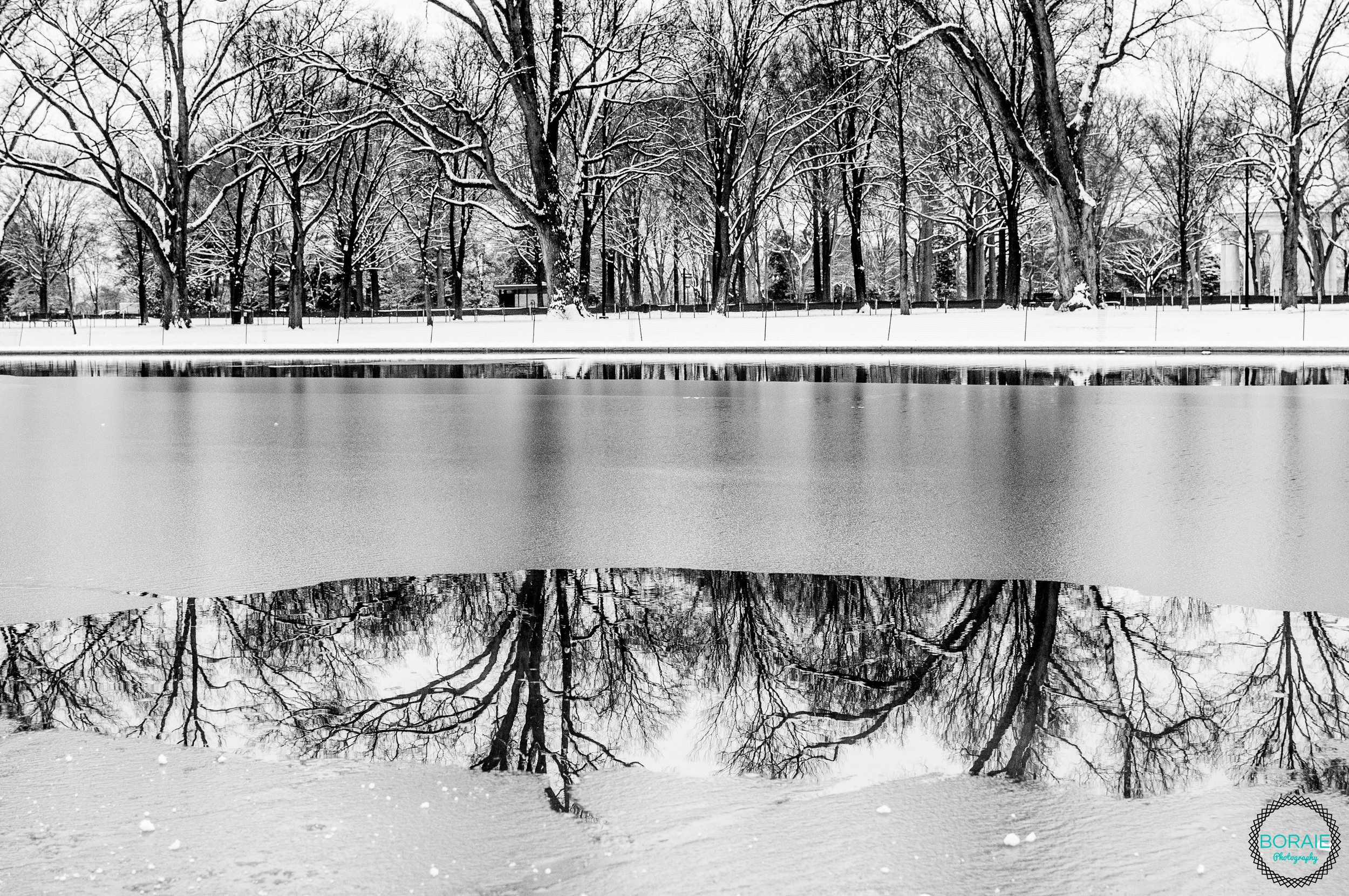 DC VA MD Photographer  (www.boraiephotography.com)-18.JPG