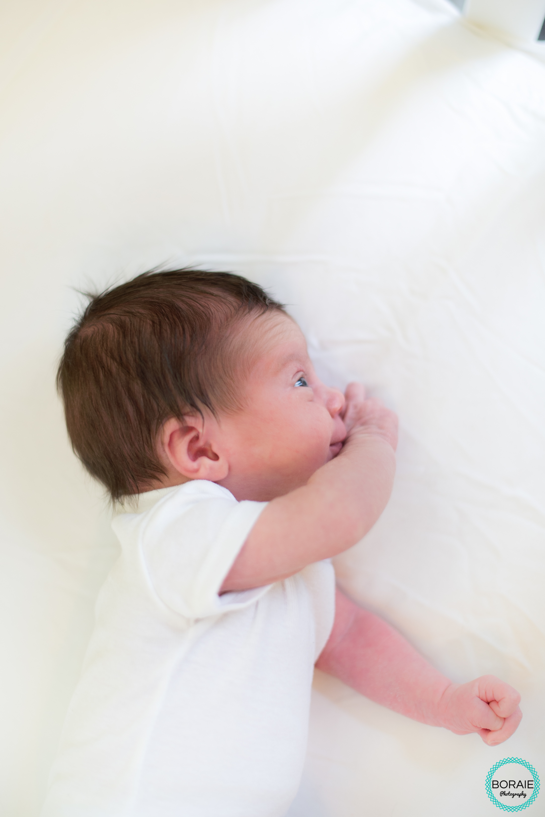 Newborn Photography DC