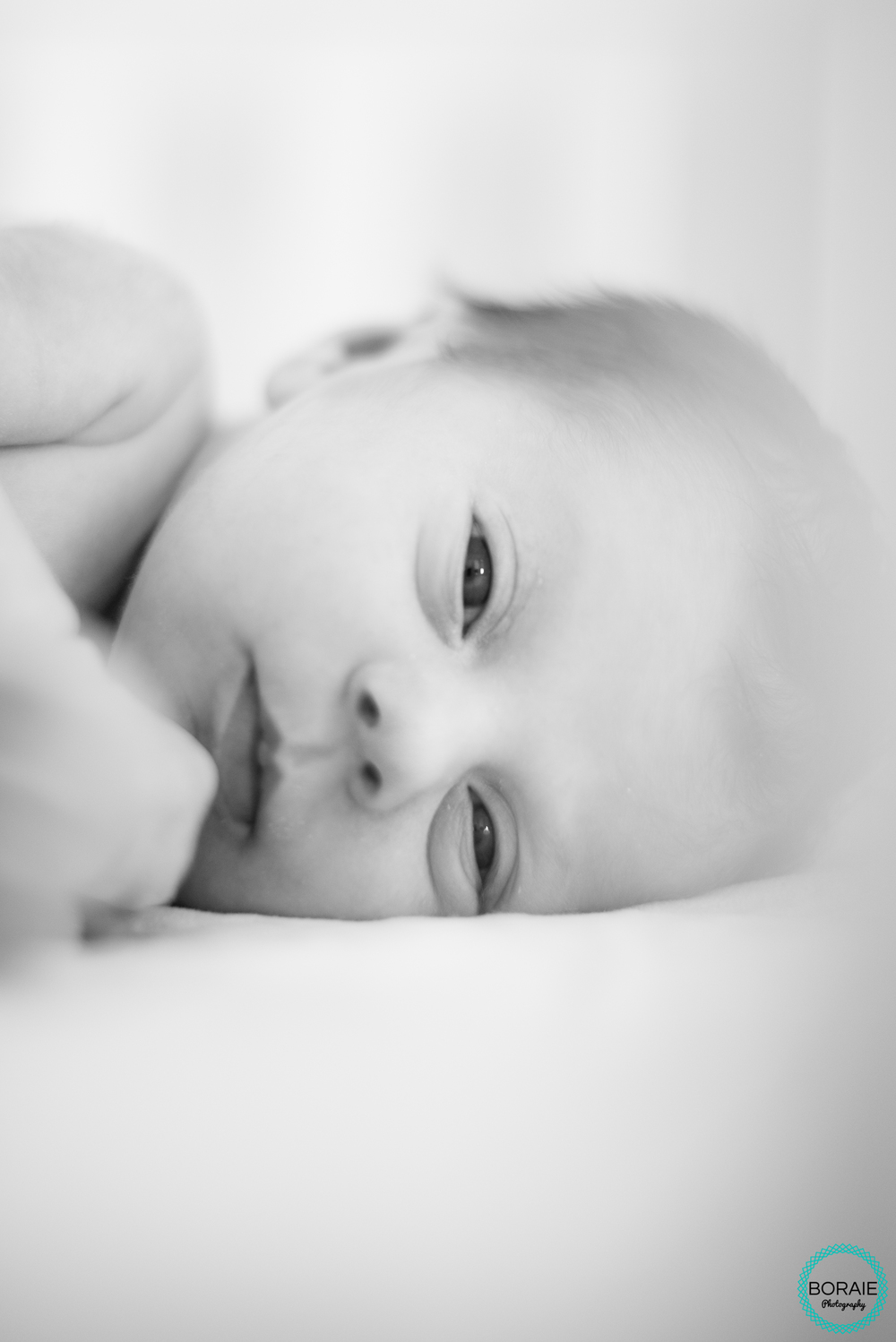 Newborn Photography DC