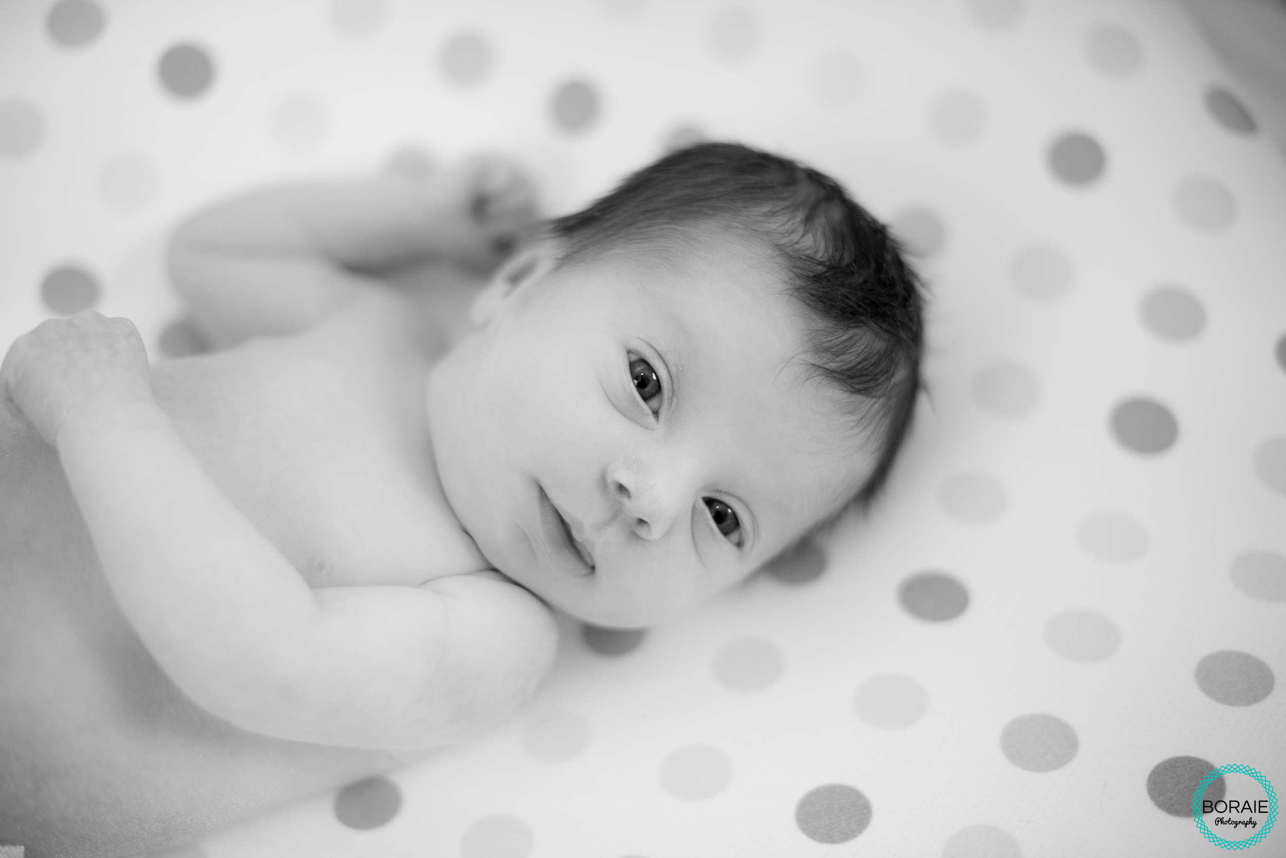 Newborn Photography DC