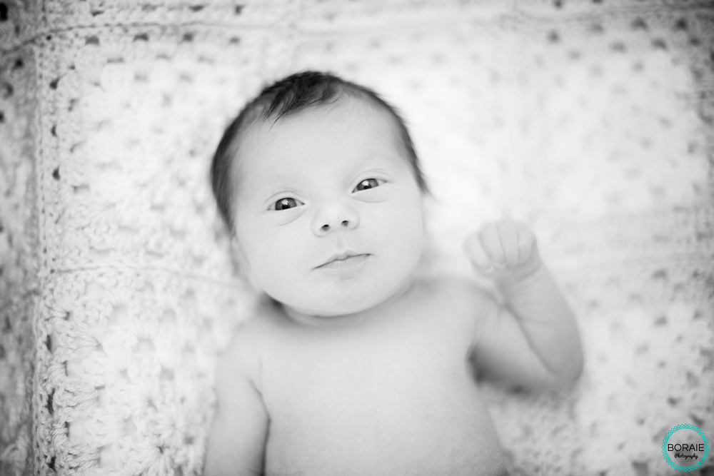 baby photography dc