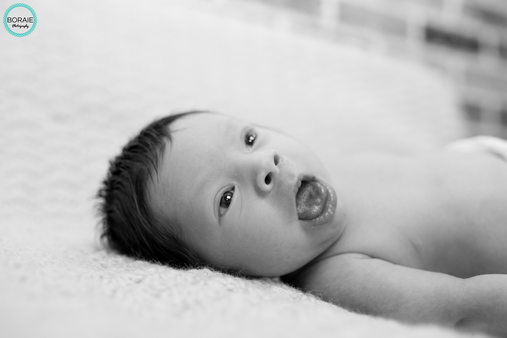 Boraie Photography- Newborn