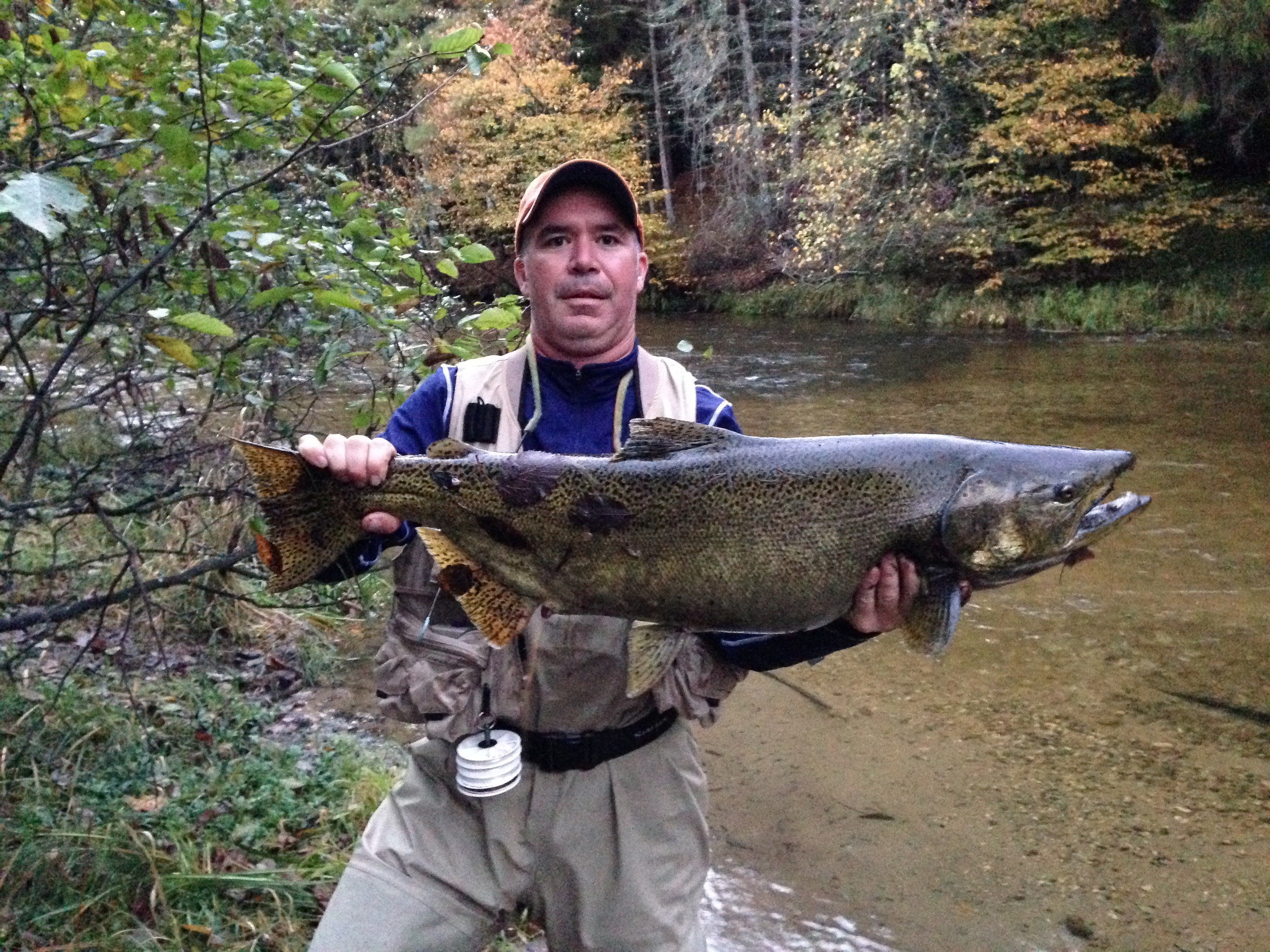Willard with a Autumn King