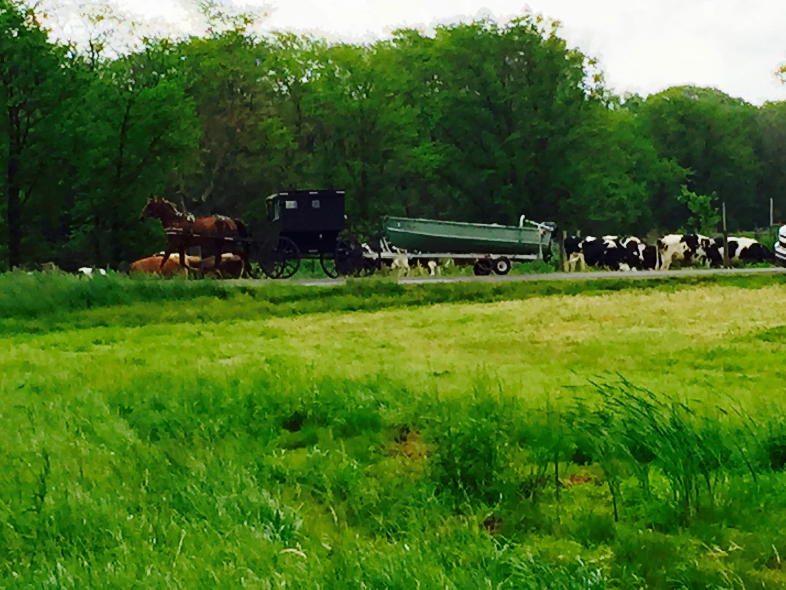 Slideshow: May Fishing 2015