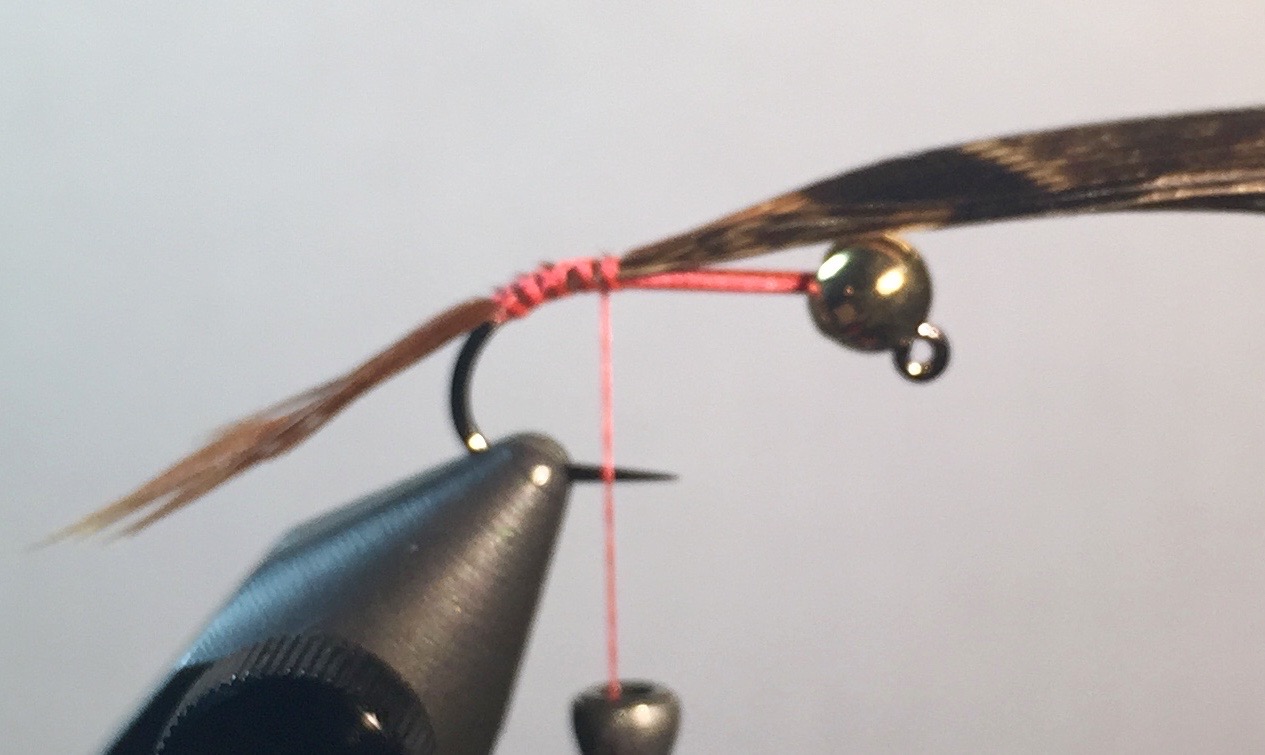 Step 2: Tie in 4-5 Pheasant tail fibers. Same length as the hook. Flare down hook.