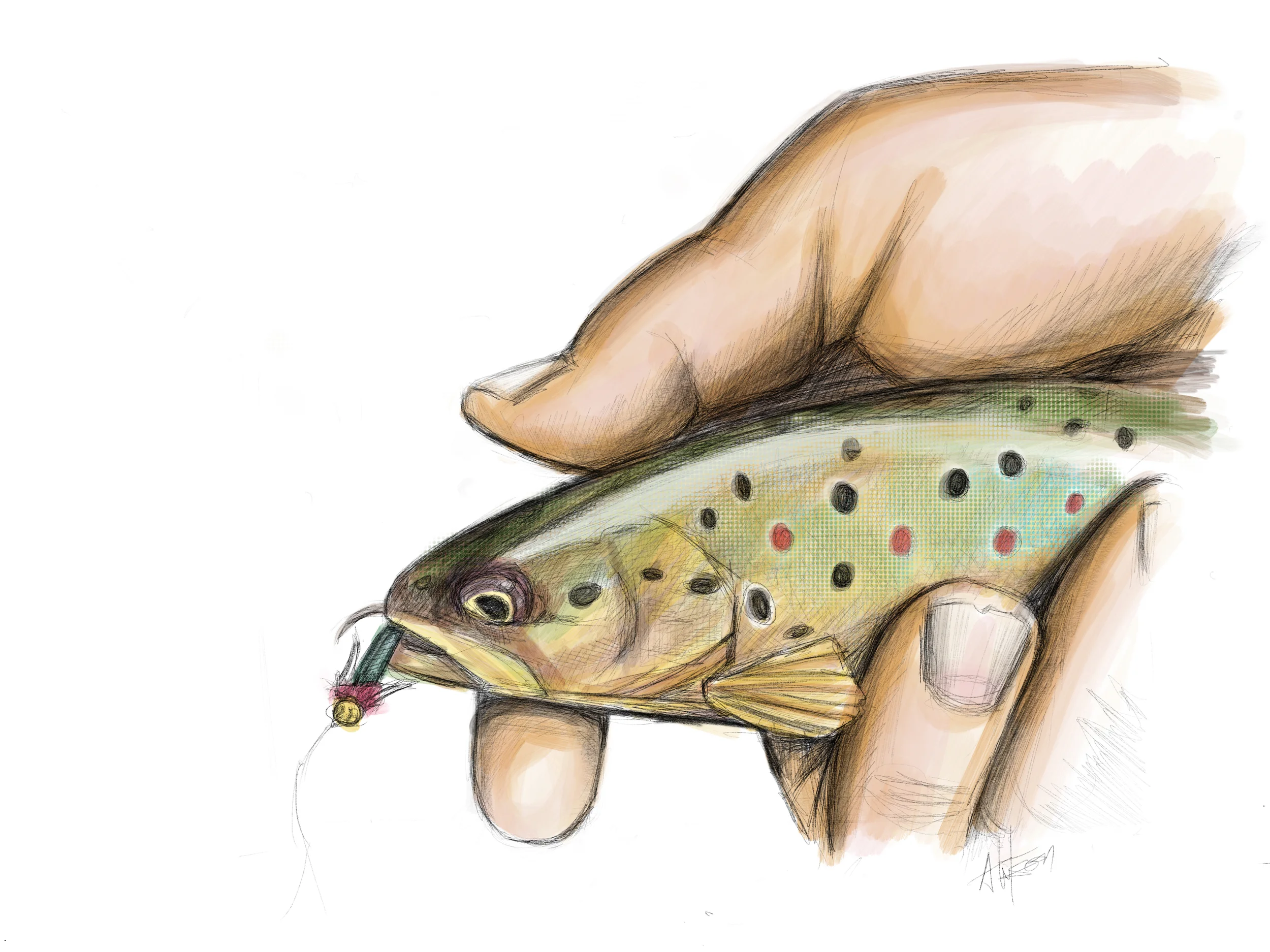 der Biss: First Trout of the Year.
