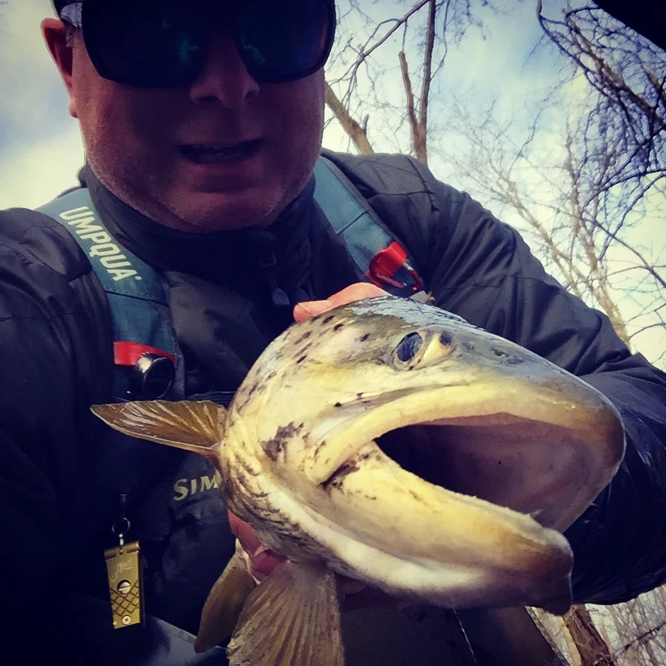 der Biss - "The Fish"