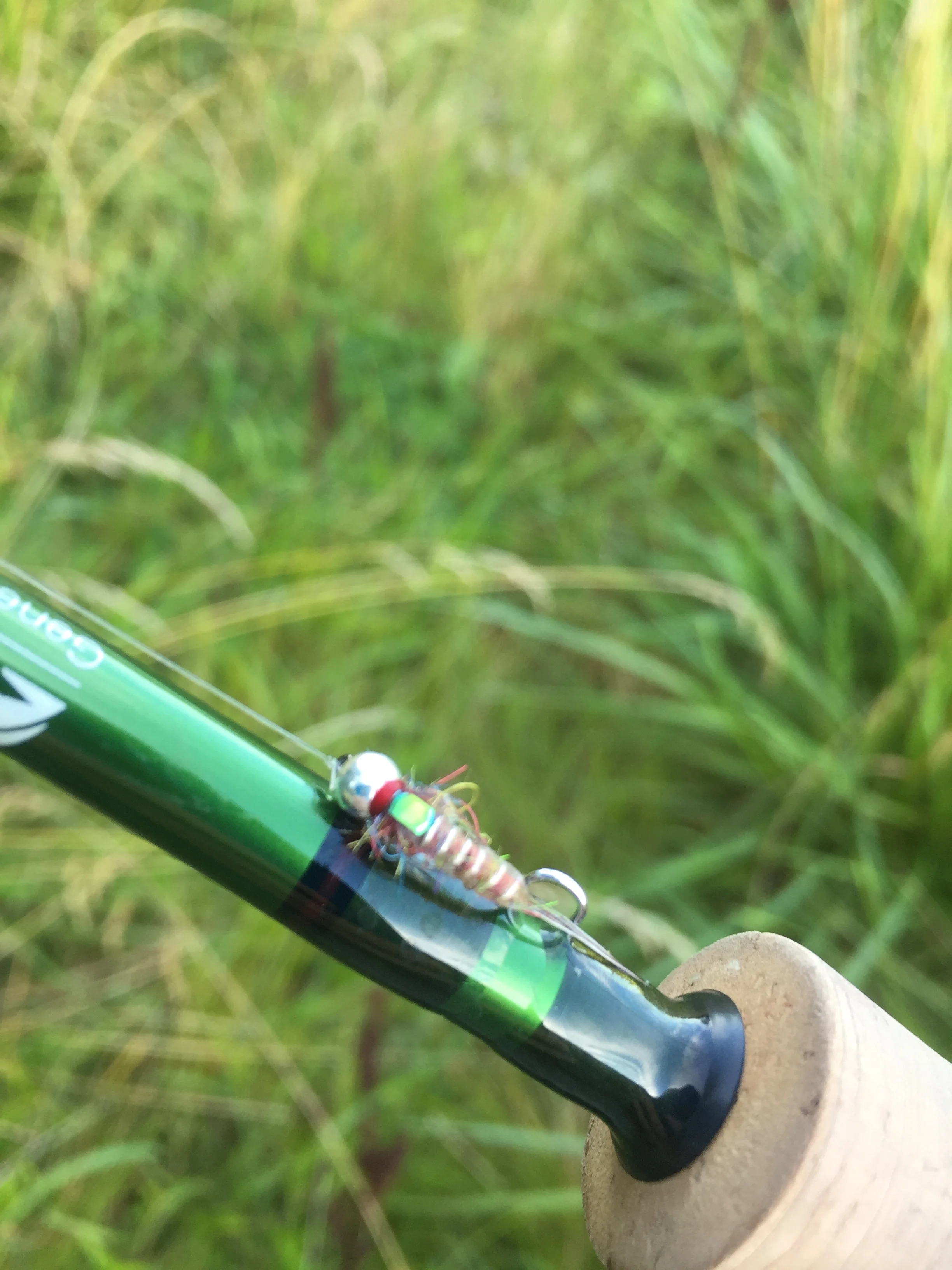 The Loop: Fishing Report 7/25/17