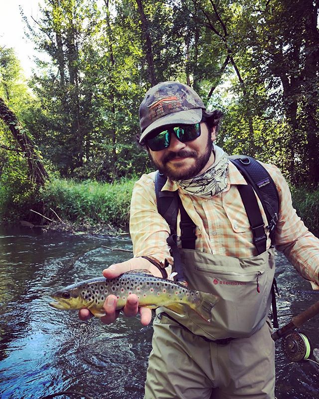 Wild brown on a tungsten surveyor
