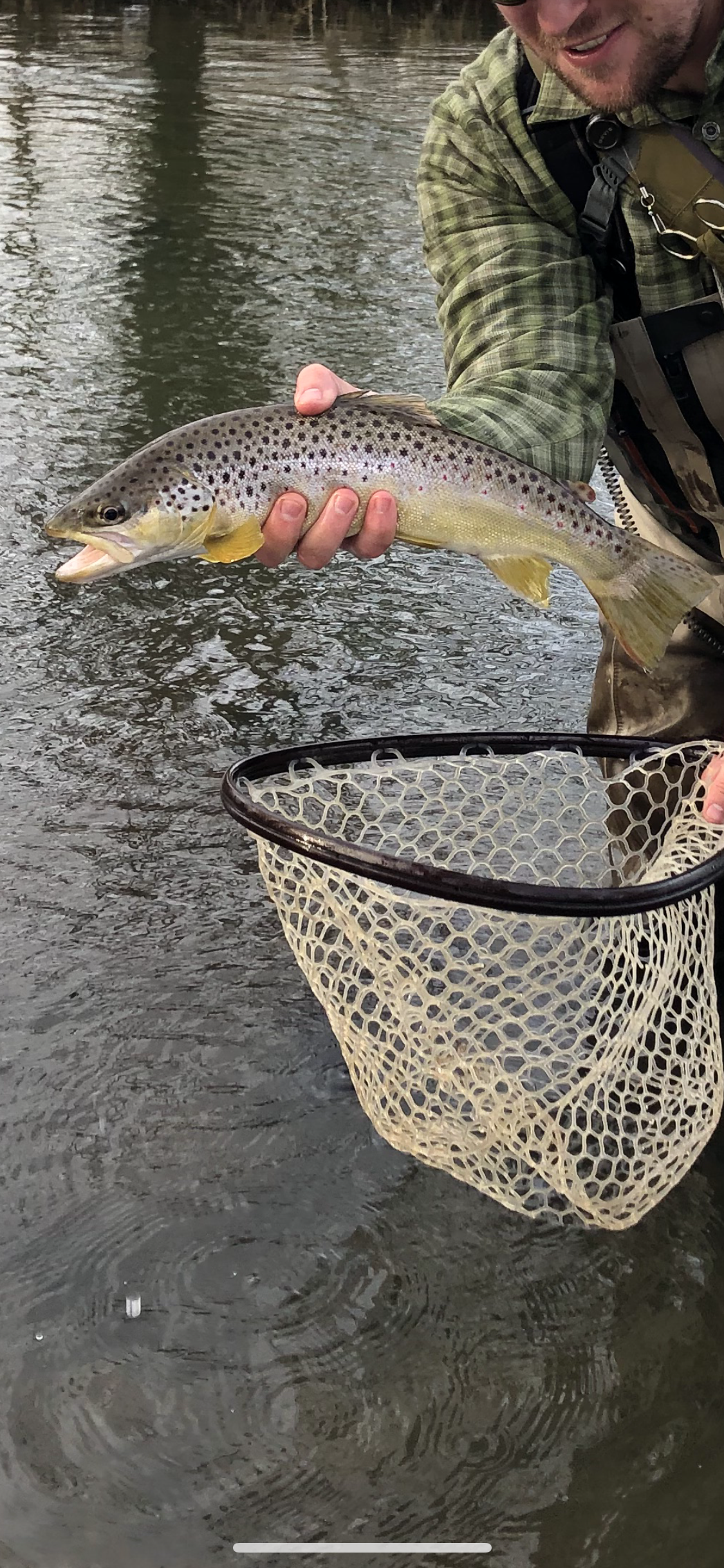 Fishing Report 3/1/2020