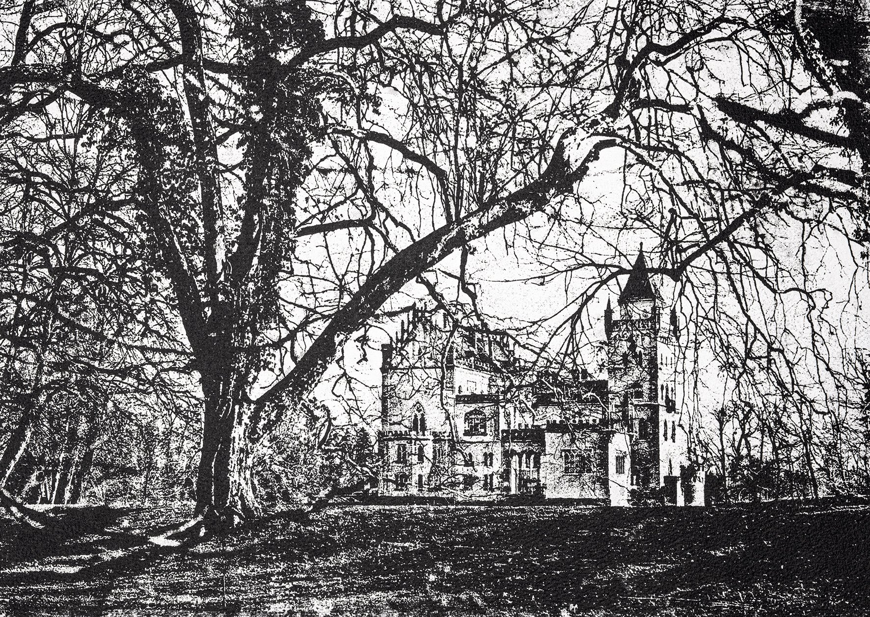 Schloss-Anif-Max-Bosse-Print.jpg