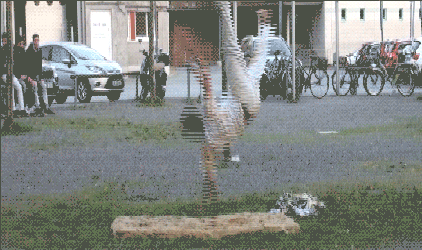 Filippos Vasileiou | Pipto, Performance at the Orgelfabrik, Karlsruhe