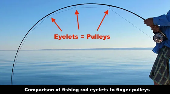 eyeletes=pulleys.jpg