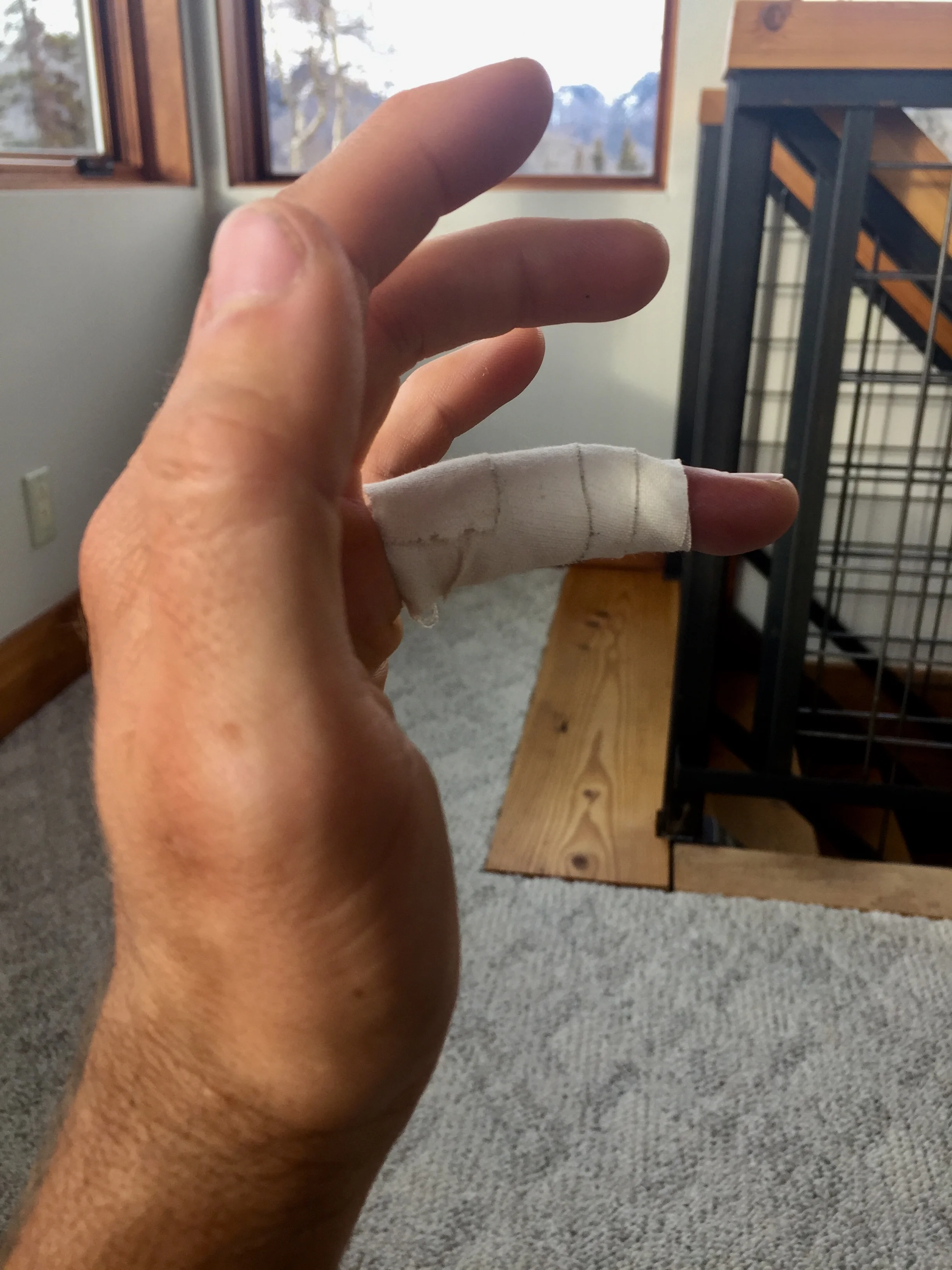 Image 19 - PIP Splinting 2.jpg
