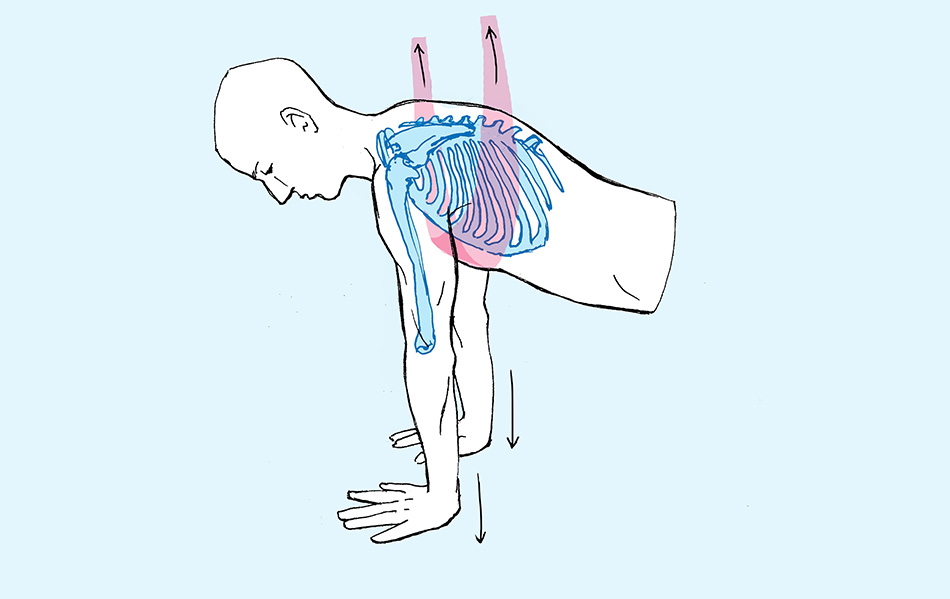 Pulley Taping Why The HTape Method? — Grassroots Physical Therapy