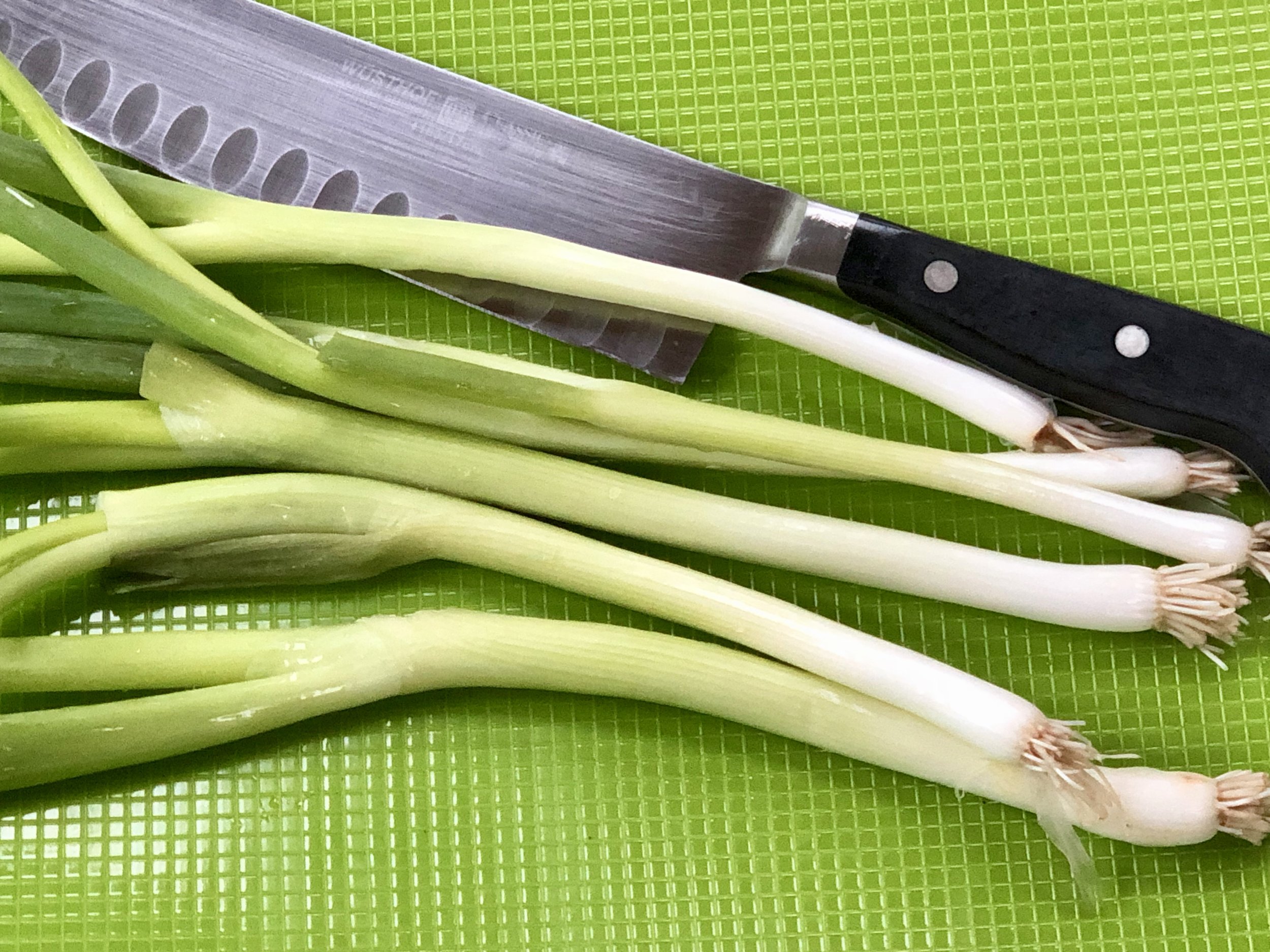 How to Shred a Scallion — Ronnie Fein