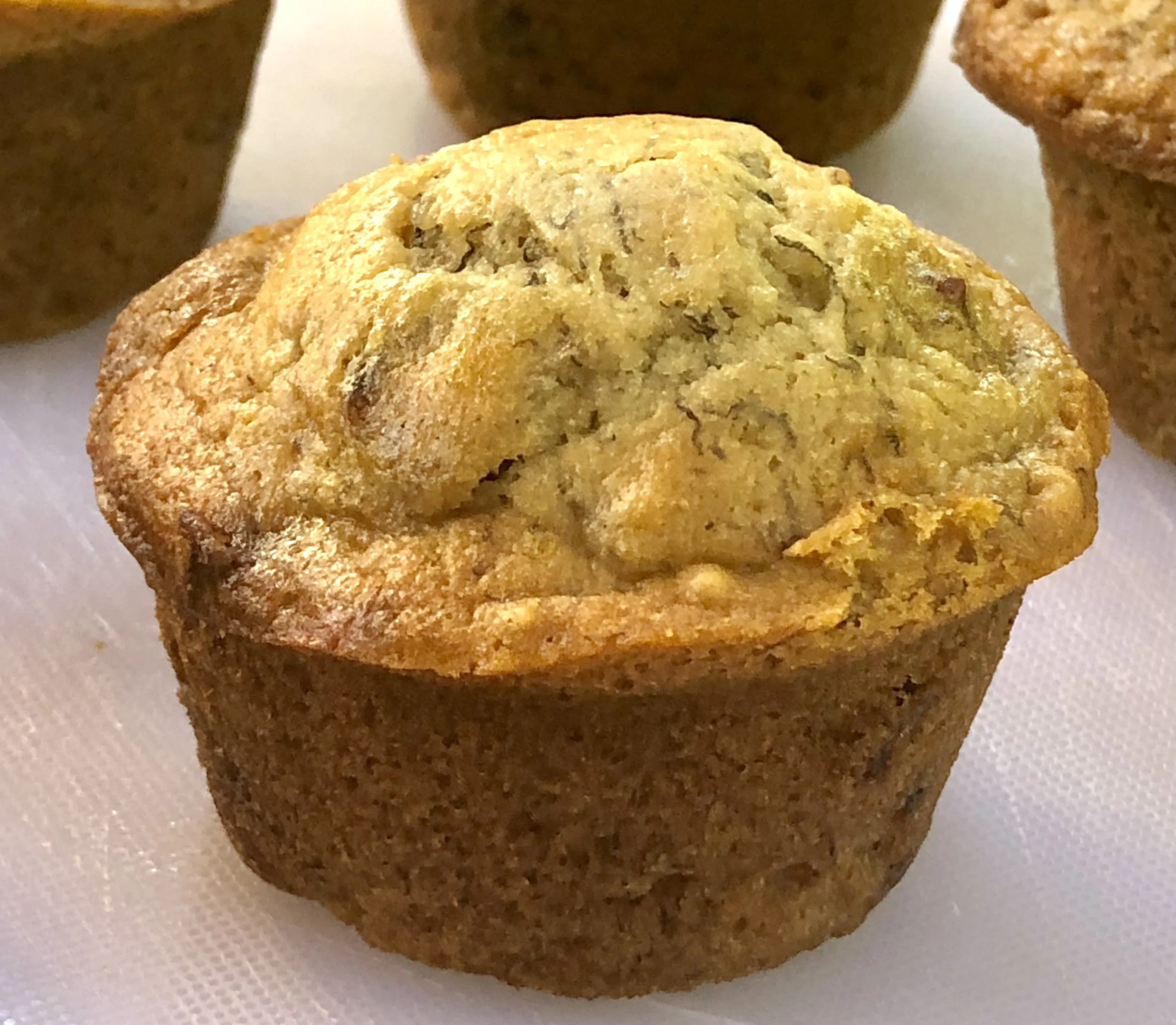 Banana Applesauce Muffins with Dried Cranberries — Ronnie Fein