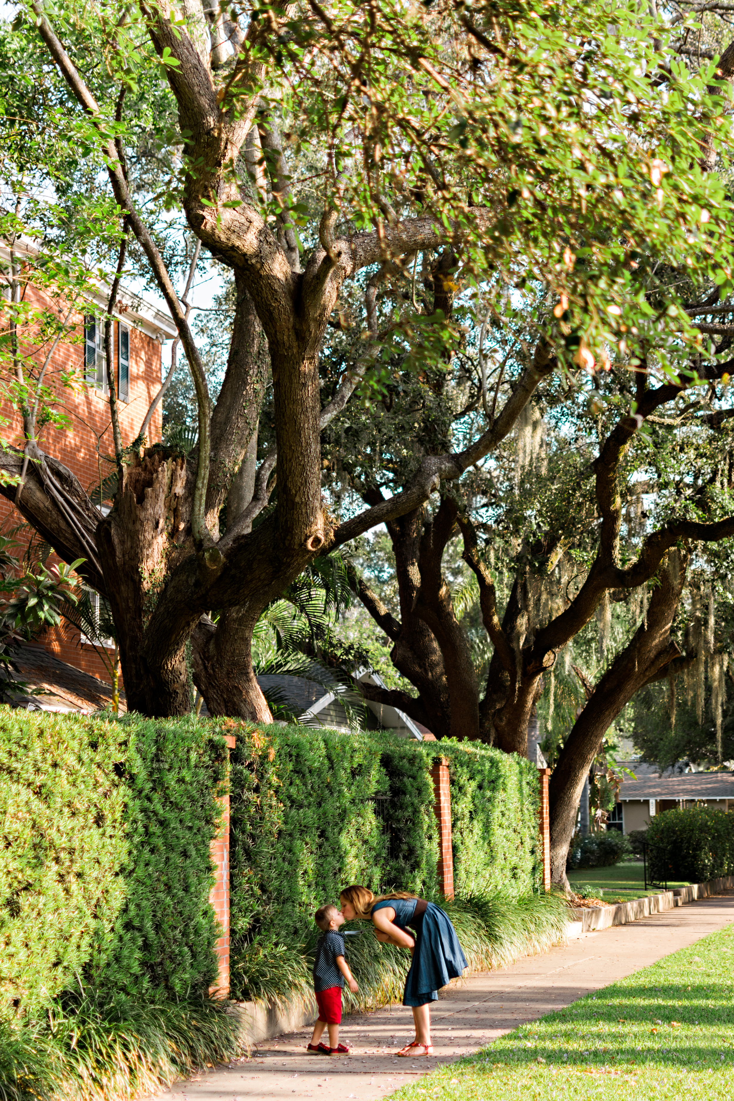 Carlie-Chew-Photography-Family-Photographer-Tampa-Florida