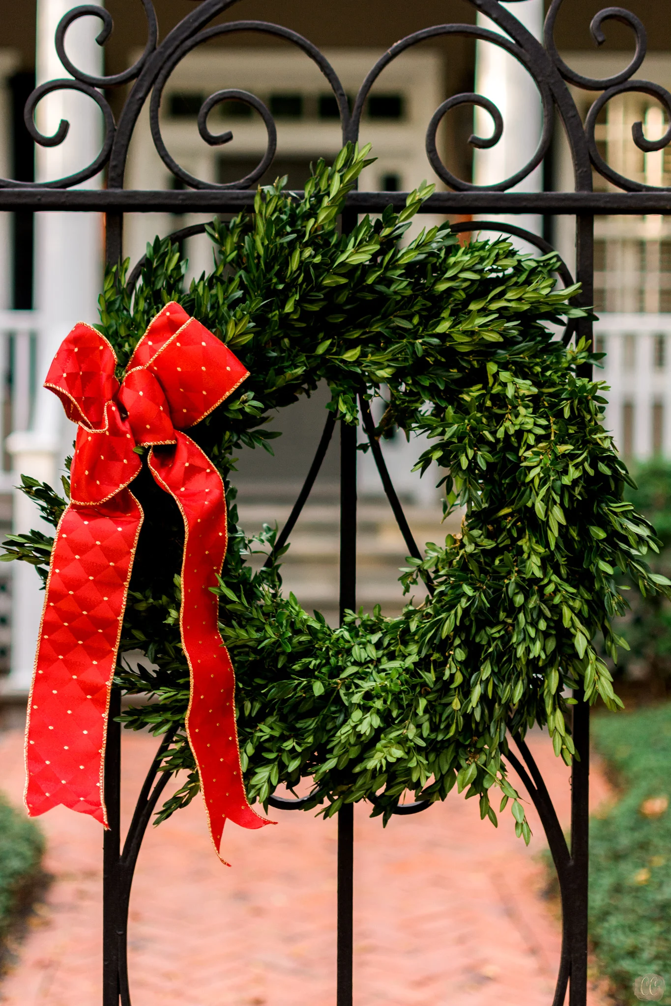 Florida Photo Safari with Carlie Chew Photography and The Florida Museum of Photographic Arts, Christmas Wreath in Hyde Park Village 