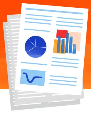 Professional Reports.jpeg