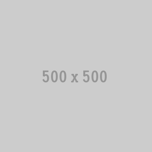 500x500 2.gif