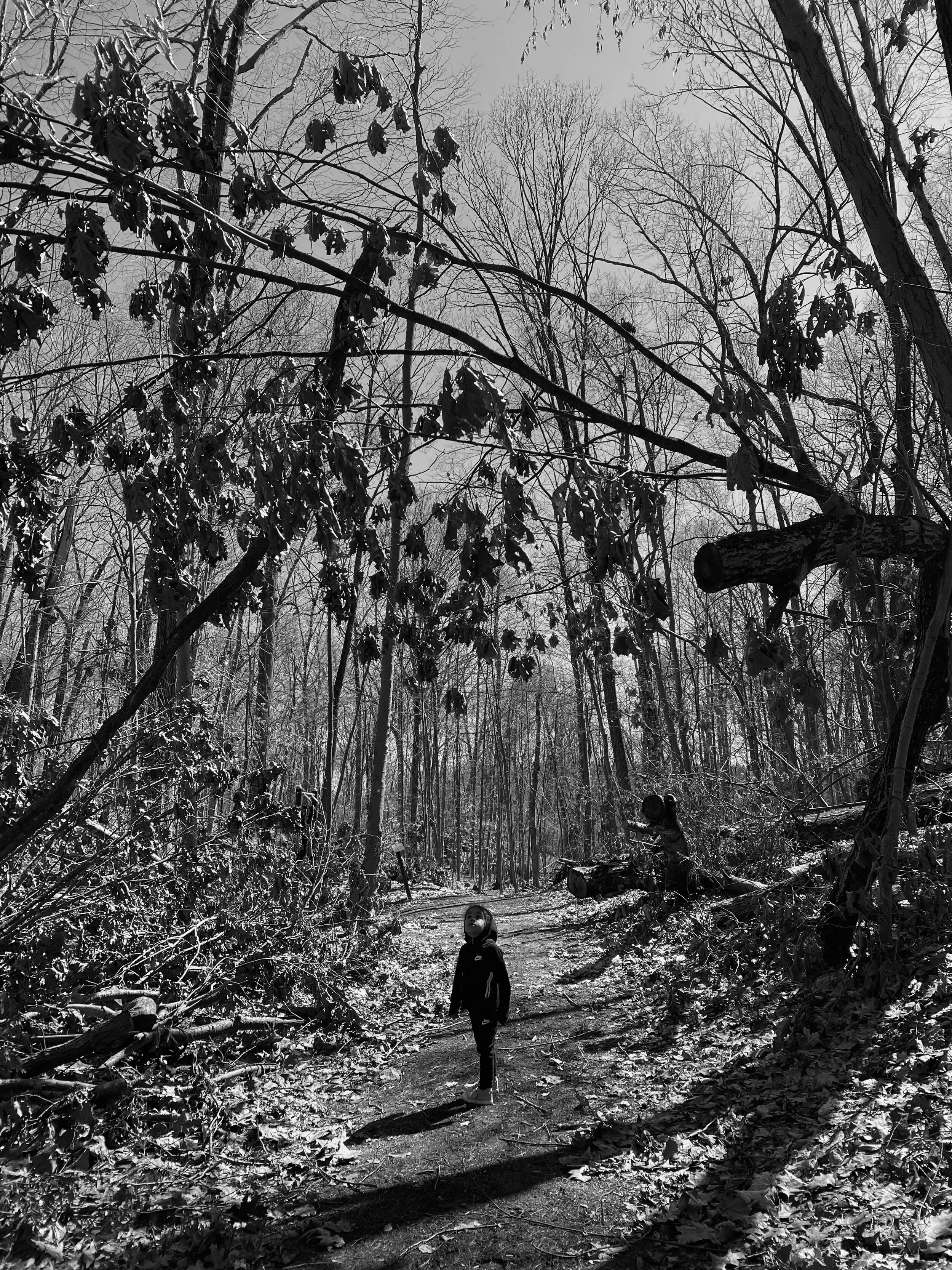 Alia, Chelsea High School