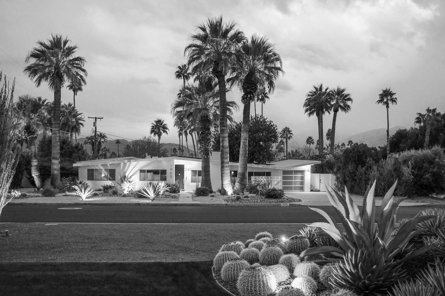 Palm Springs I Sham Sthankiya.jpg