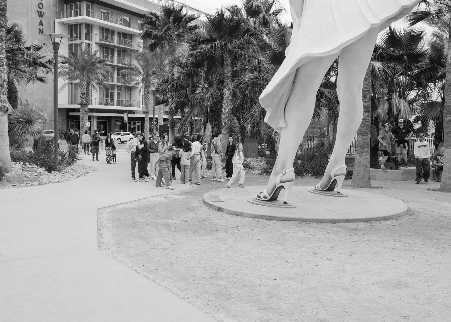 Palm Springs I Sham Sthankiya I Marilyn Monroe.jpg