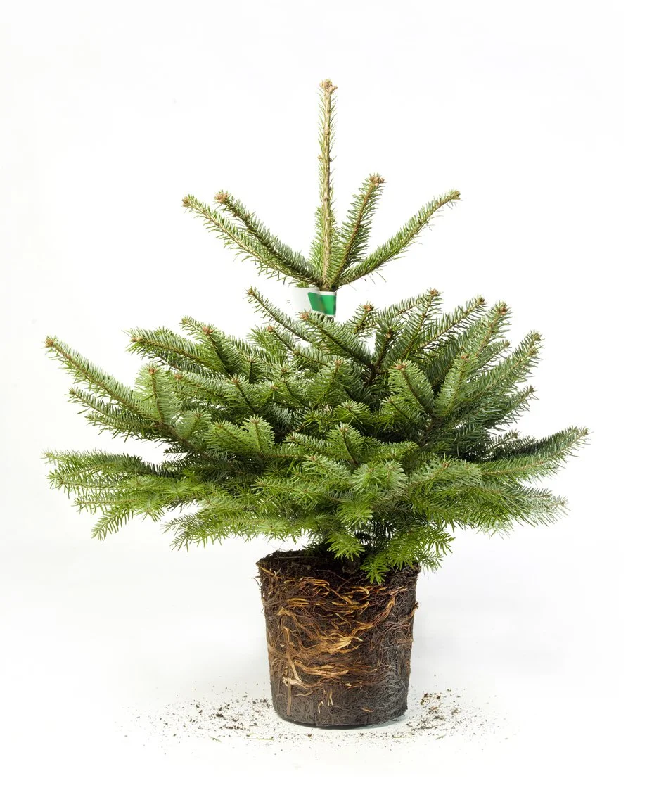 iStock-639987238.jpg