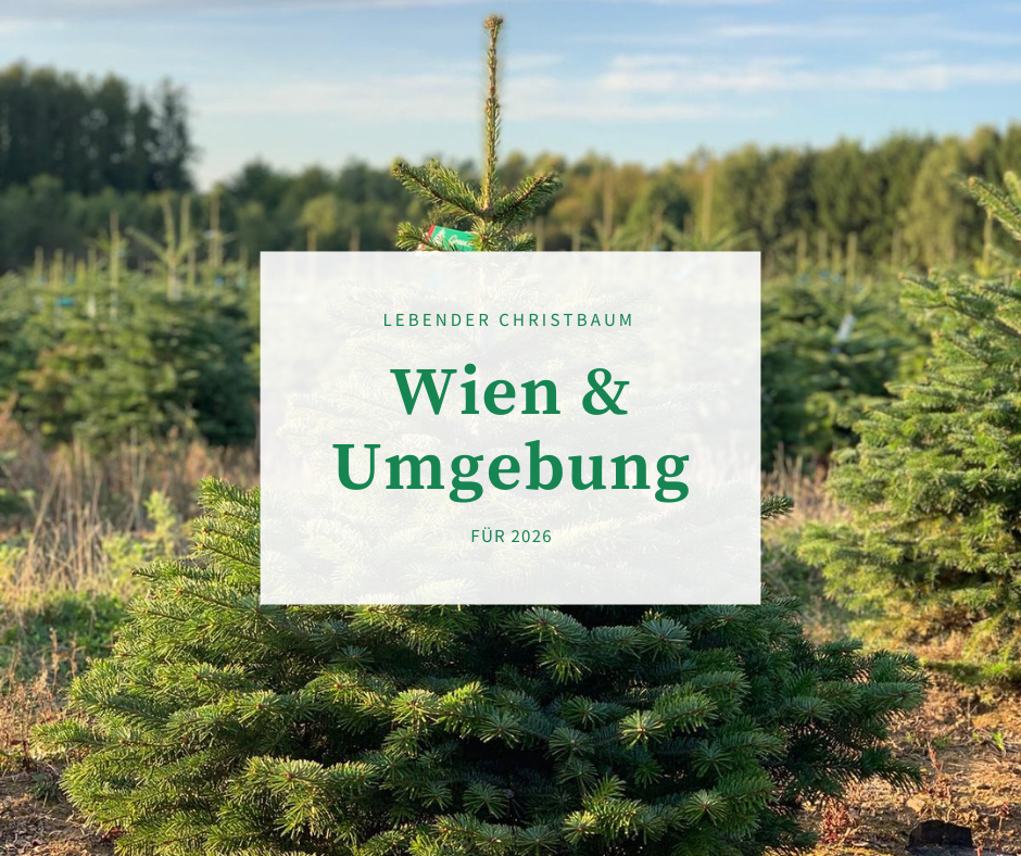 Lebender Christbaum WIEN & NÖ