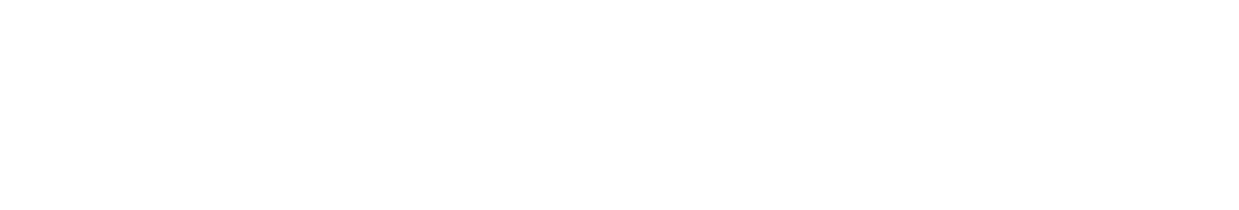 IEF_Logo White - No background.png