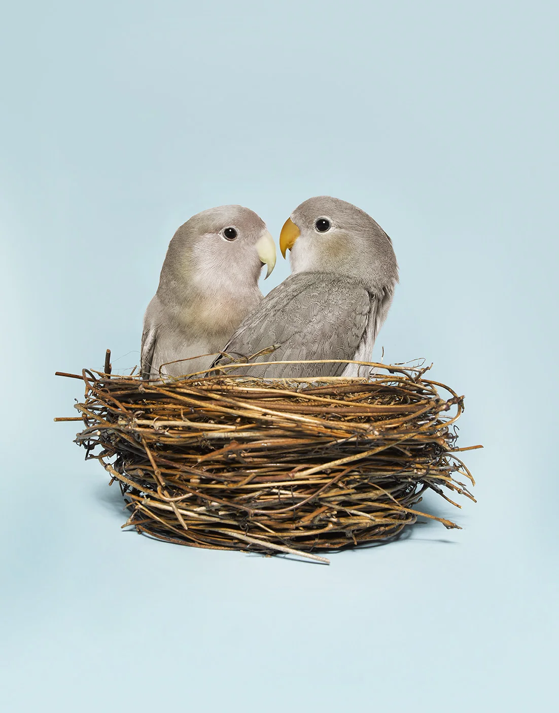 Retiree Love Nest