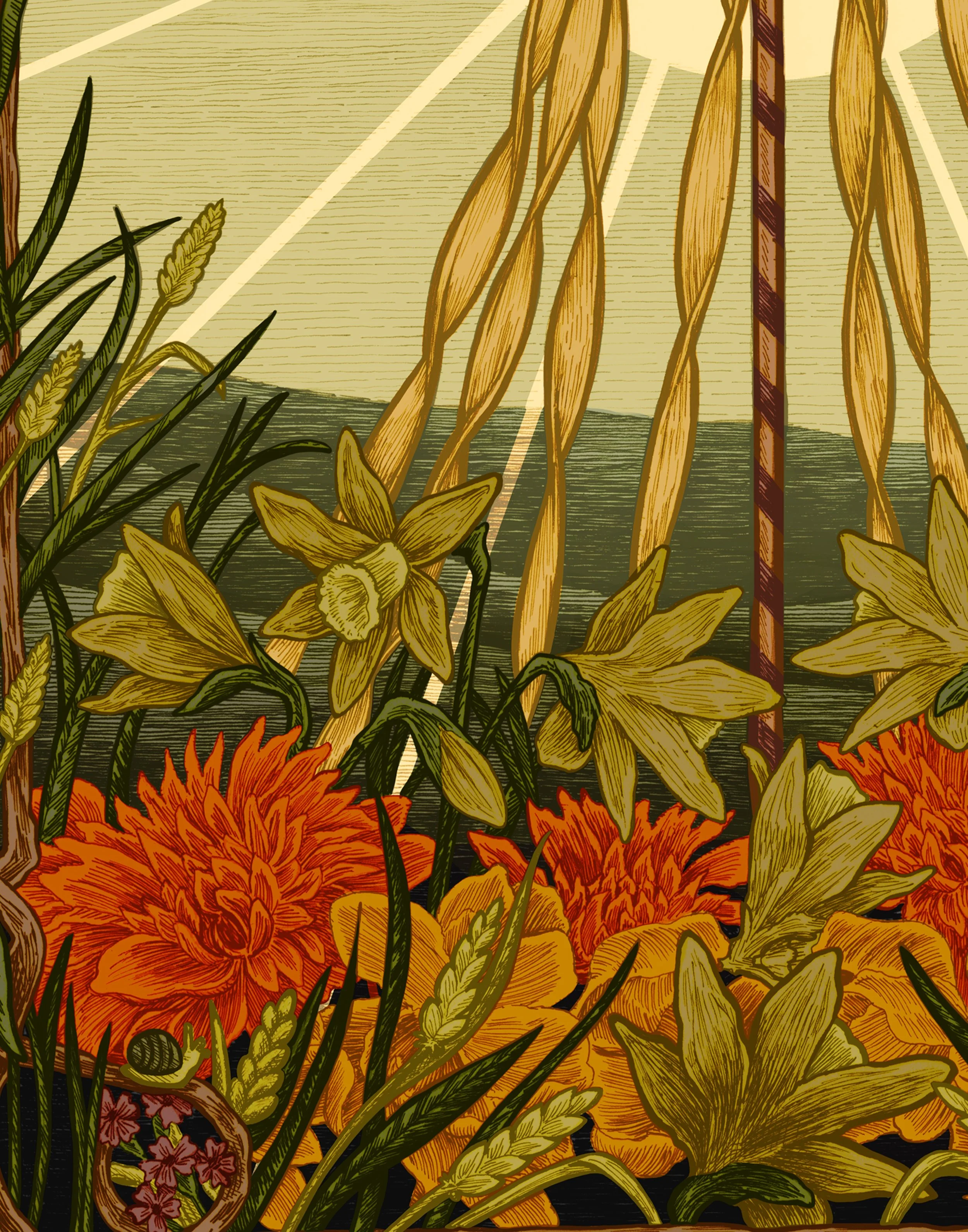 the sun zoom for web.jpg