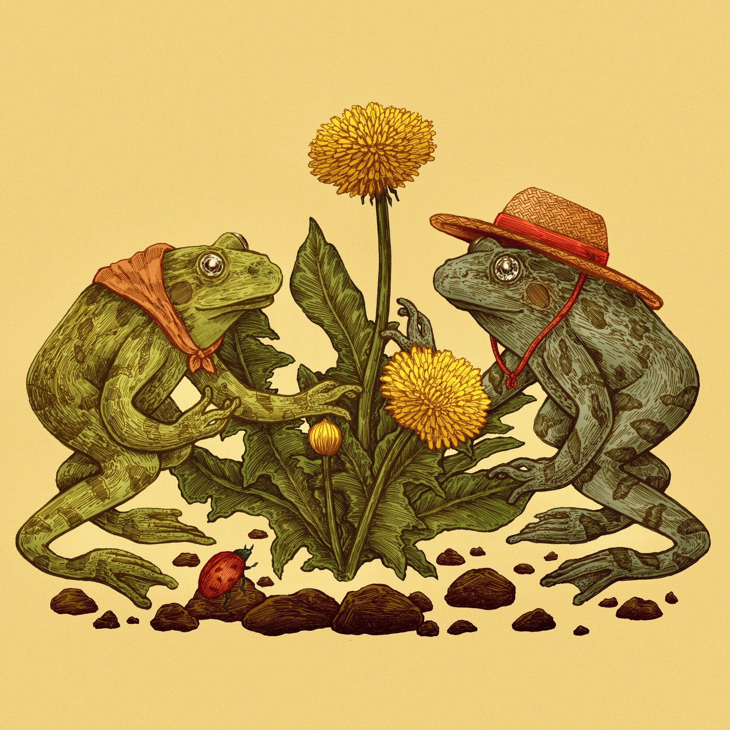 dandelion_frogs+2.jpg