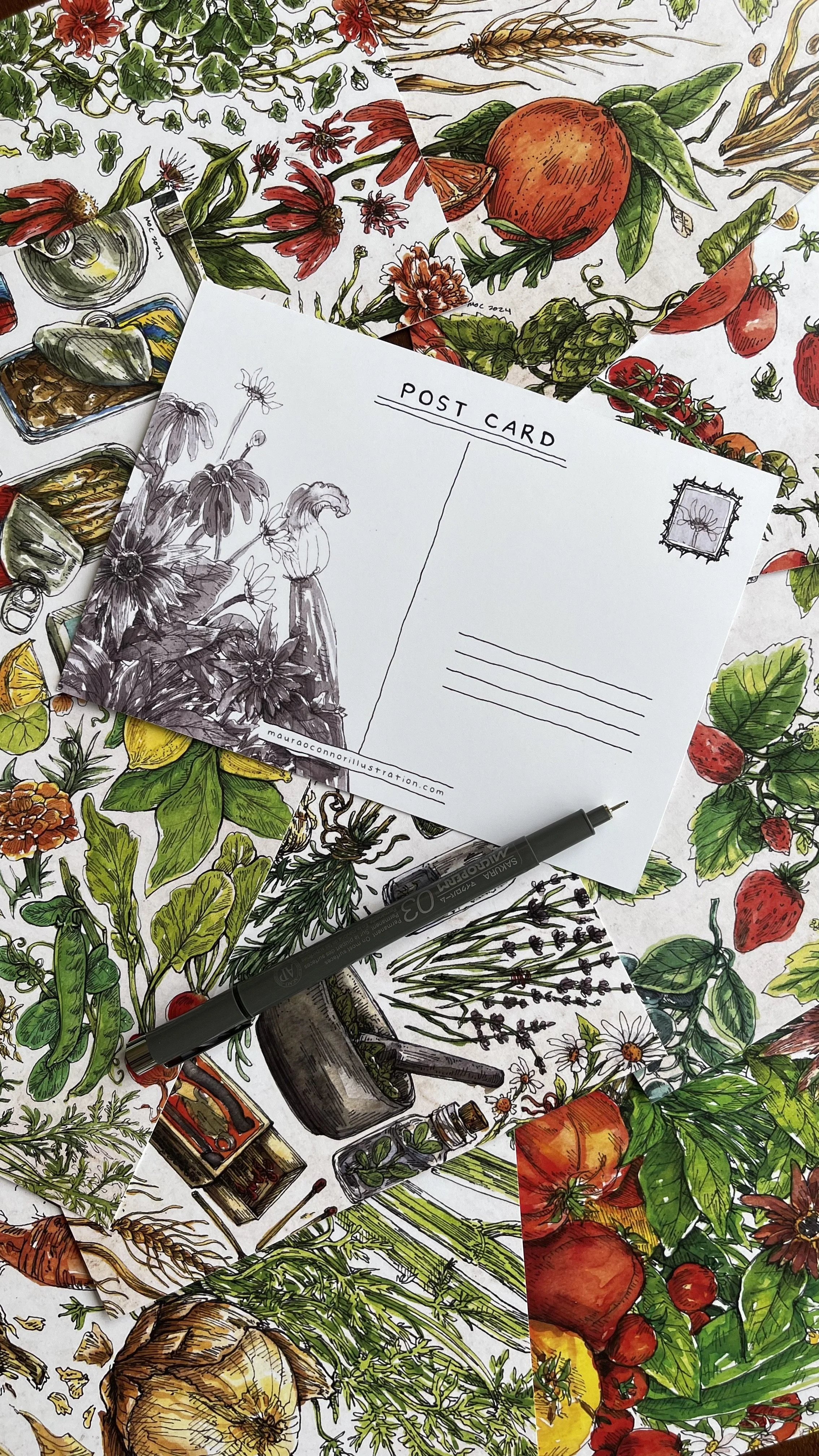 "Botanical Sketchbook" Postcard Set