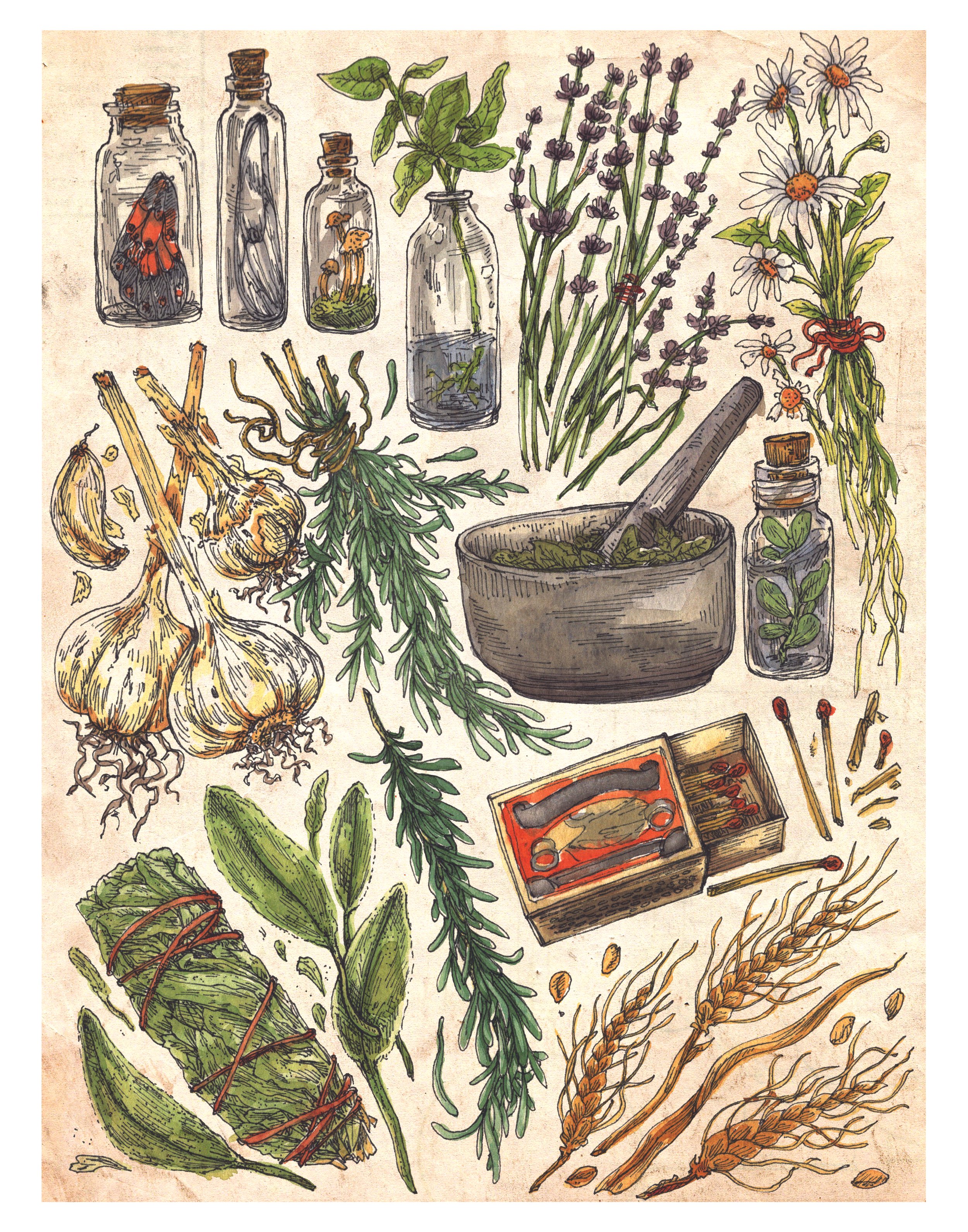 apothecary web.jpg