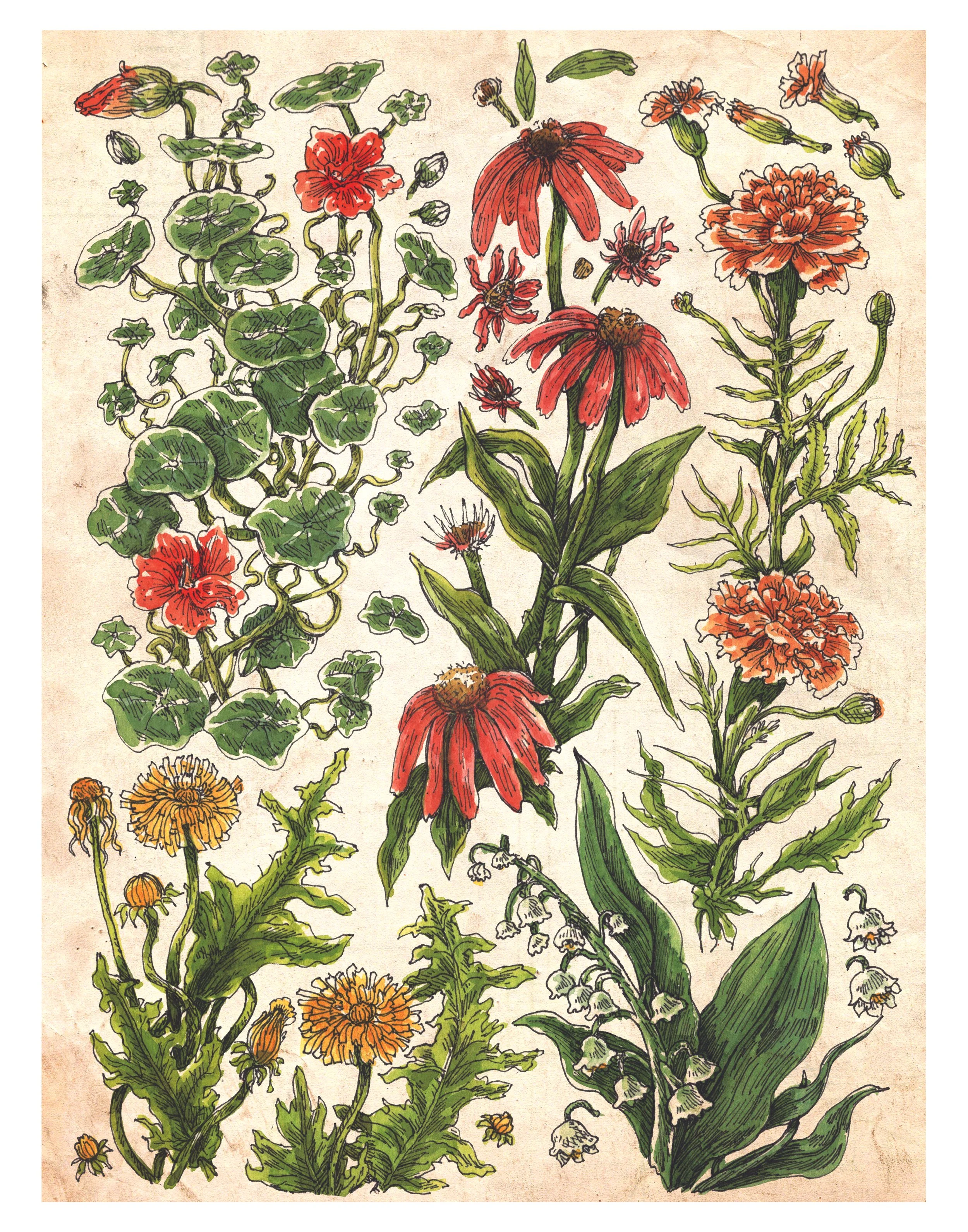 summer flowers web.jpg