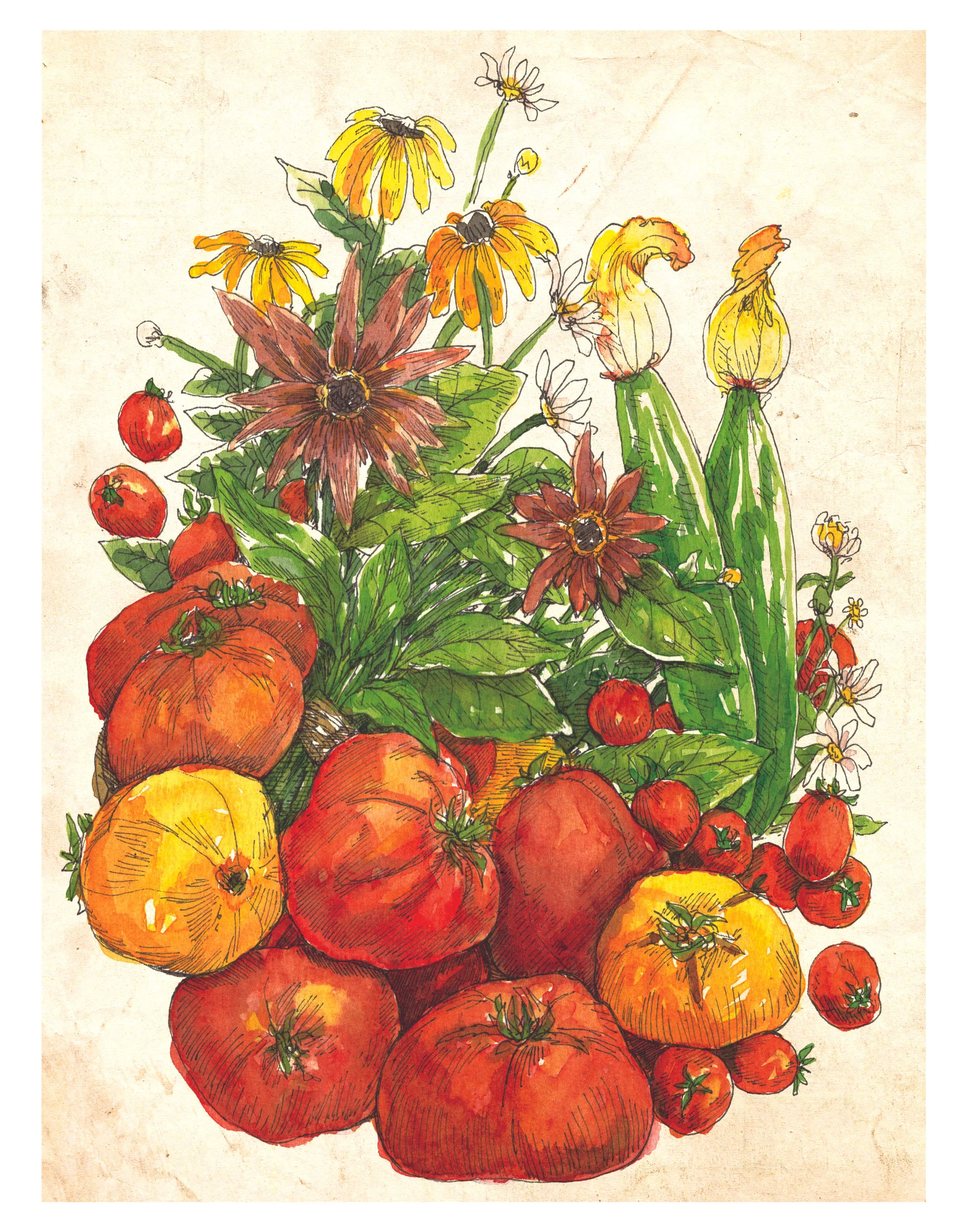 summer harvest web.jpg