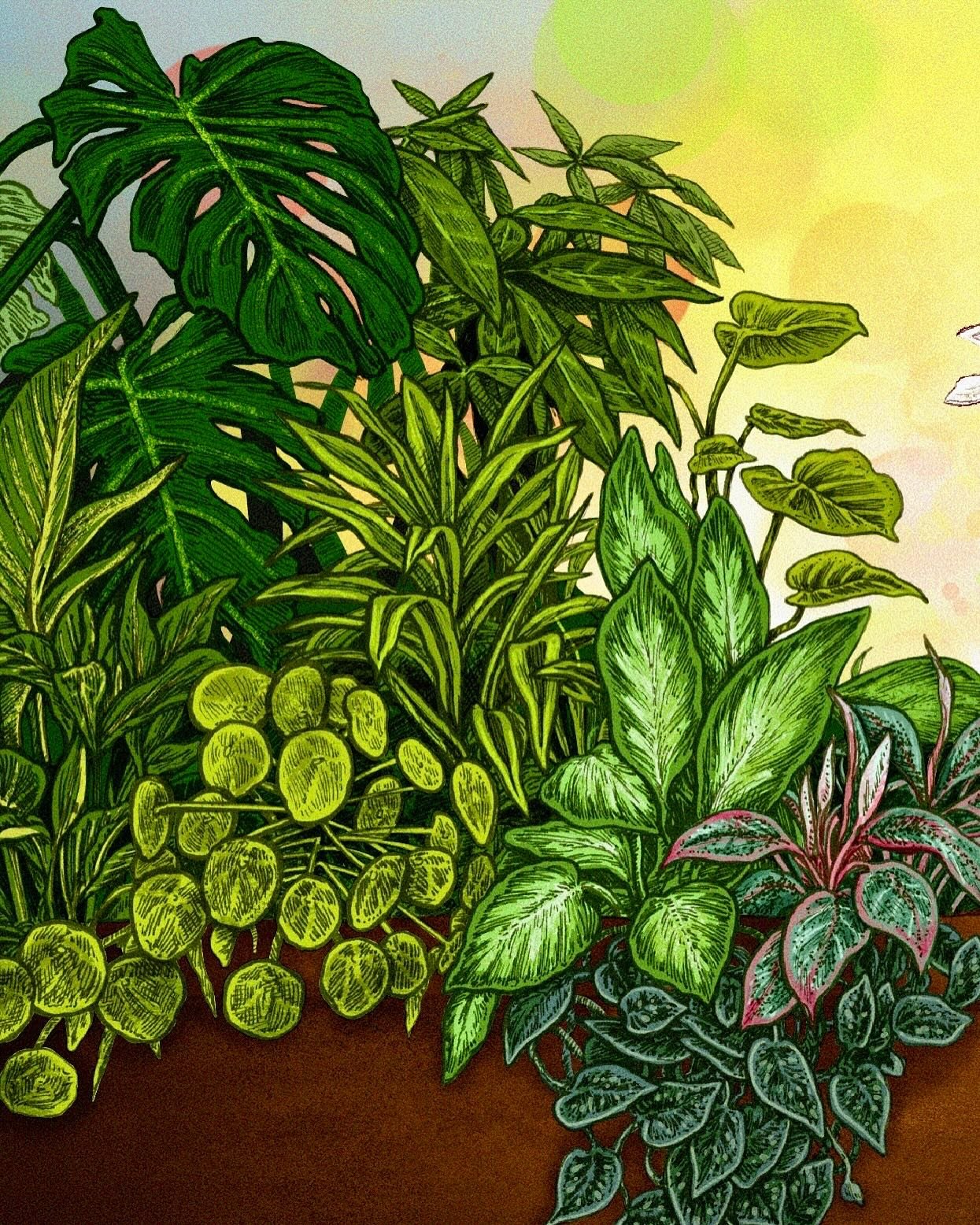 Some more details from the most recent @growbrewingco collab. Swipe to see comparisons between the original ink drawing and the colored version. #growbrewingco #growbrewingcompany #inkdrawing #houseplants #plants #beer