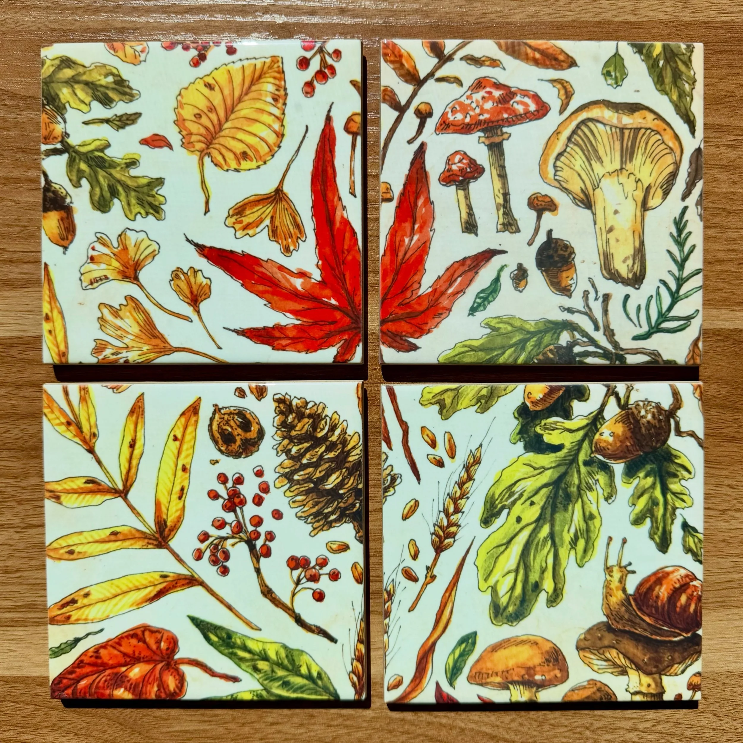 Fall is certainly rolling in in my neck of the woods, perfect time to feature this little fall themed coaster set 🍂🍁🍄&zwj;🟫🍄 #watercolor