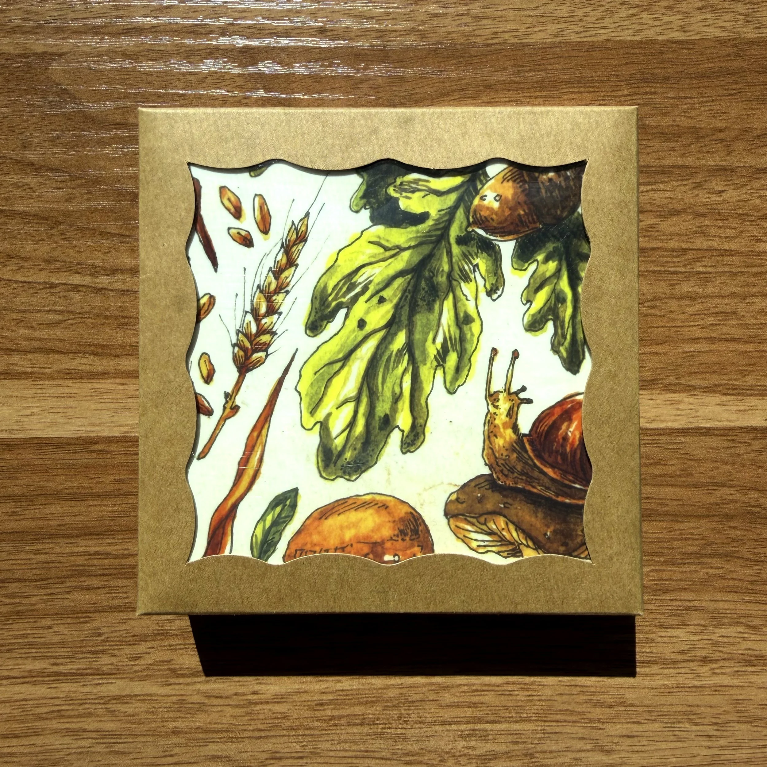 fl 4.jpg