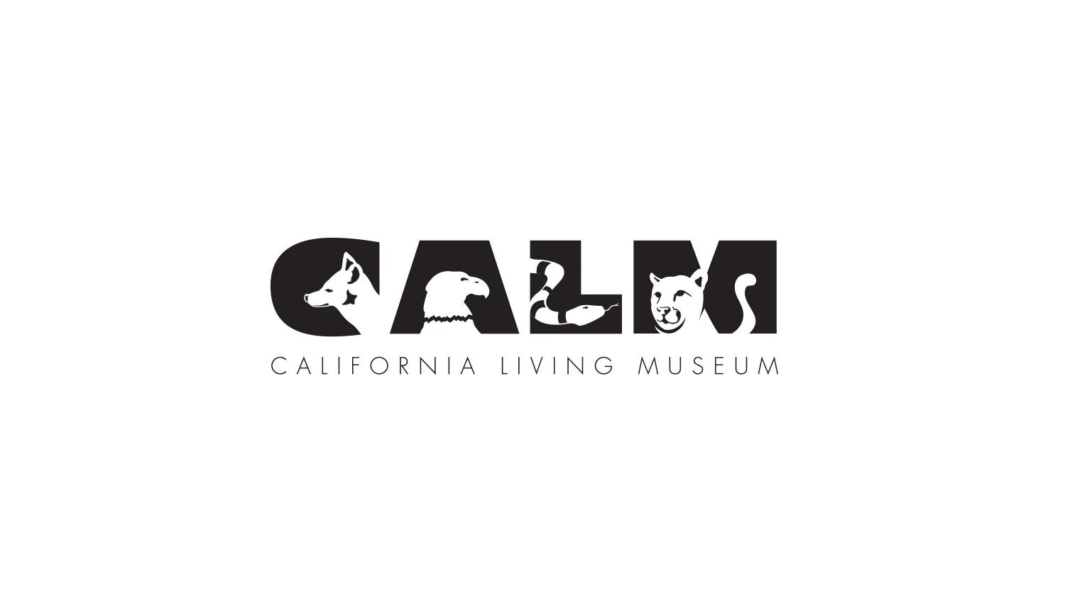 calm-logo.jpg