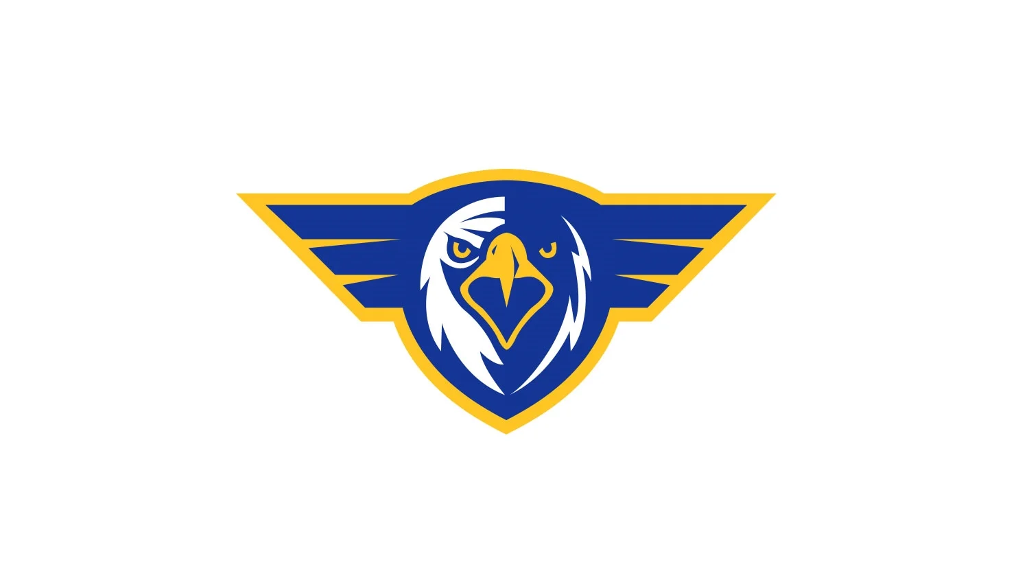 erau-logo.jpg