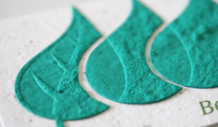 seedpaperdetail.jpg