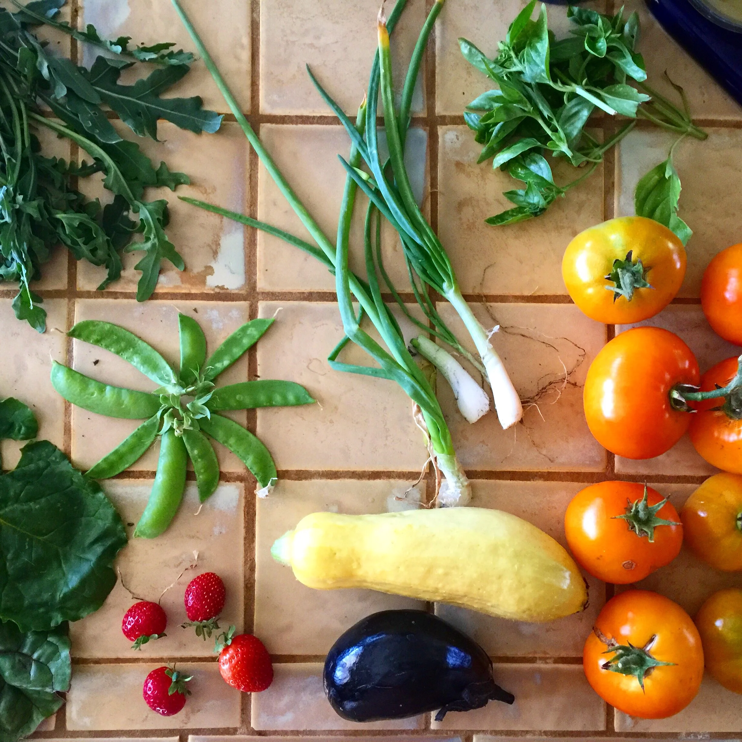 Veggies from the garden!
