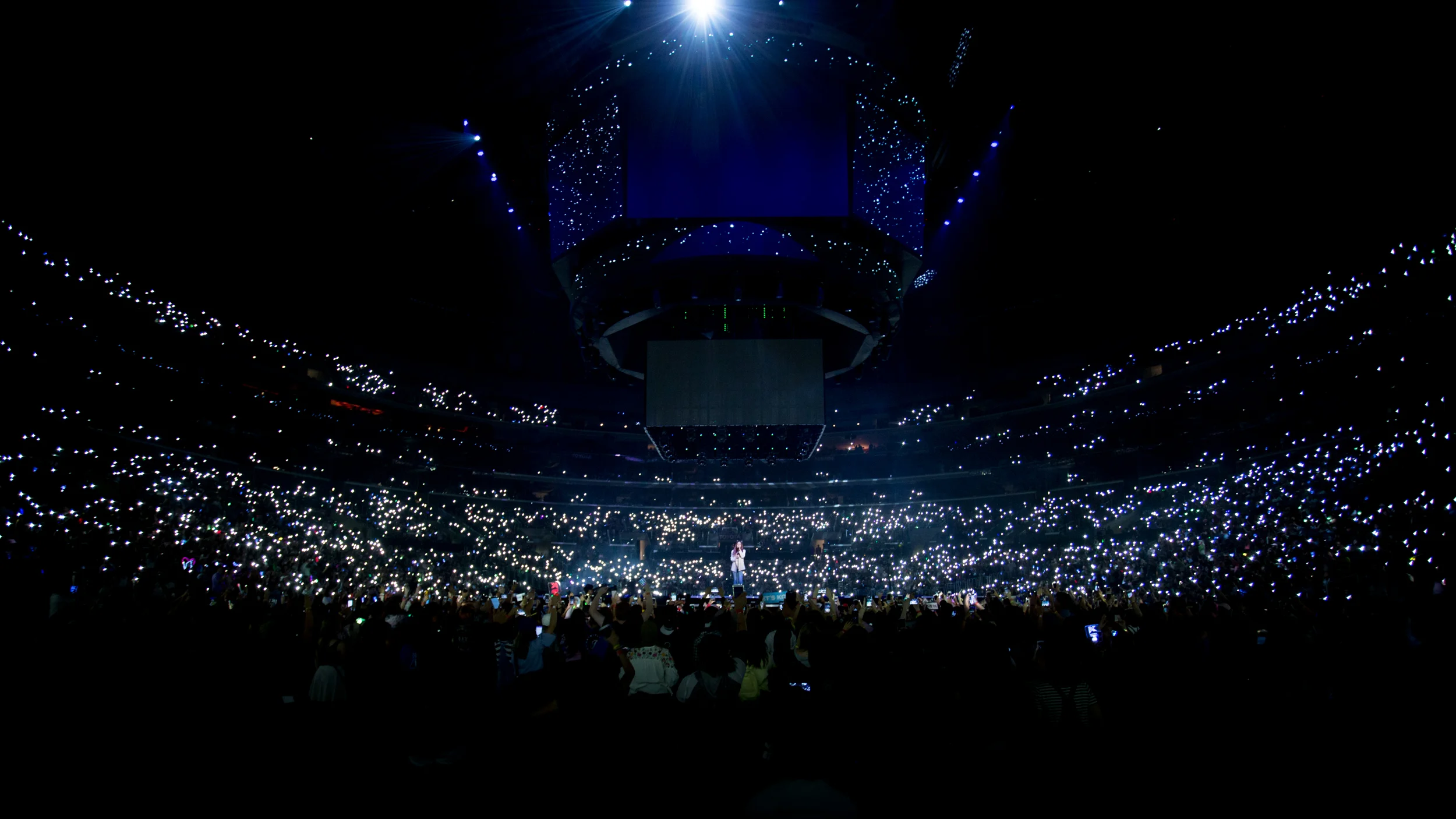 DL1_7783.jpg