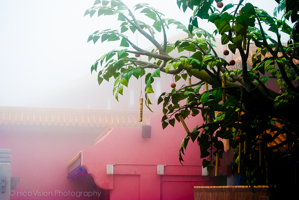 HK Architecture-187.jpg