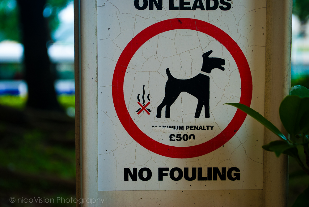 HK signs-14.jpg