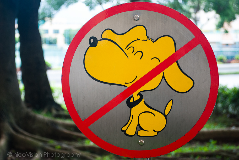 HK signs-15.jpg
