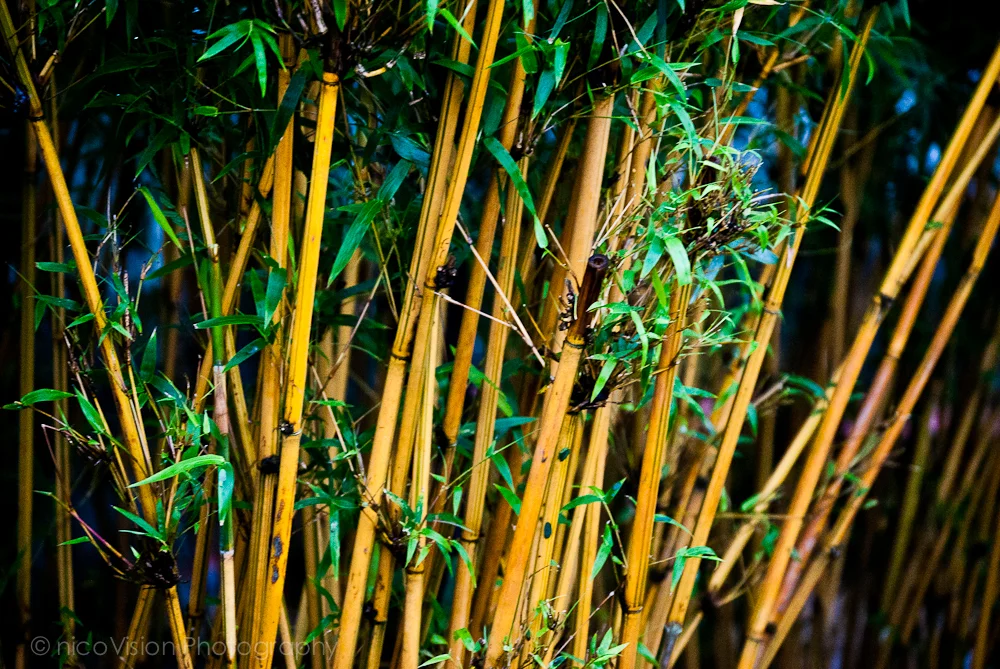 HK Stuff and Things-82.jpg